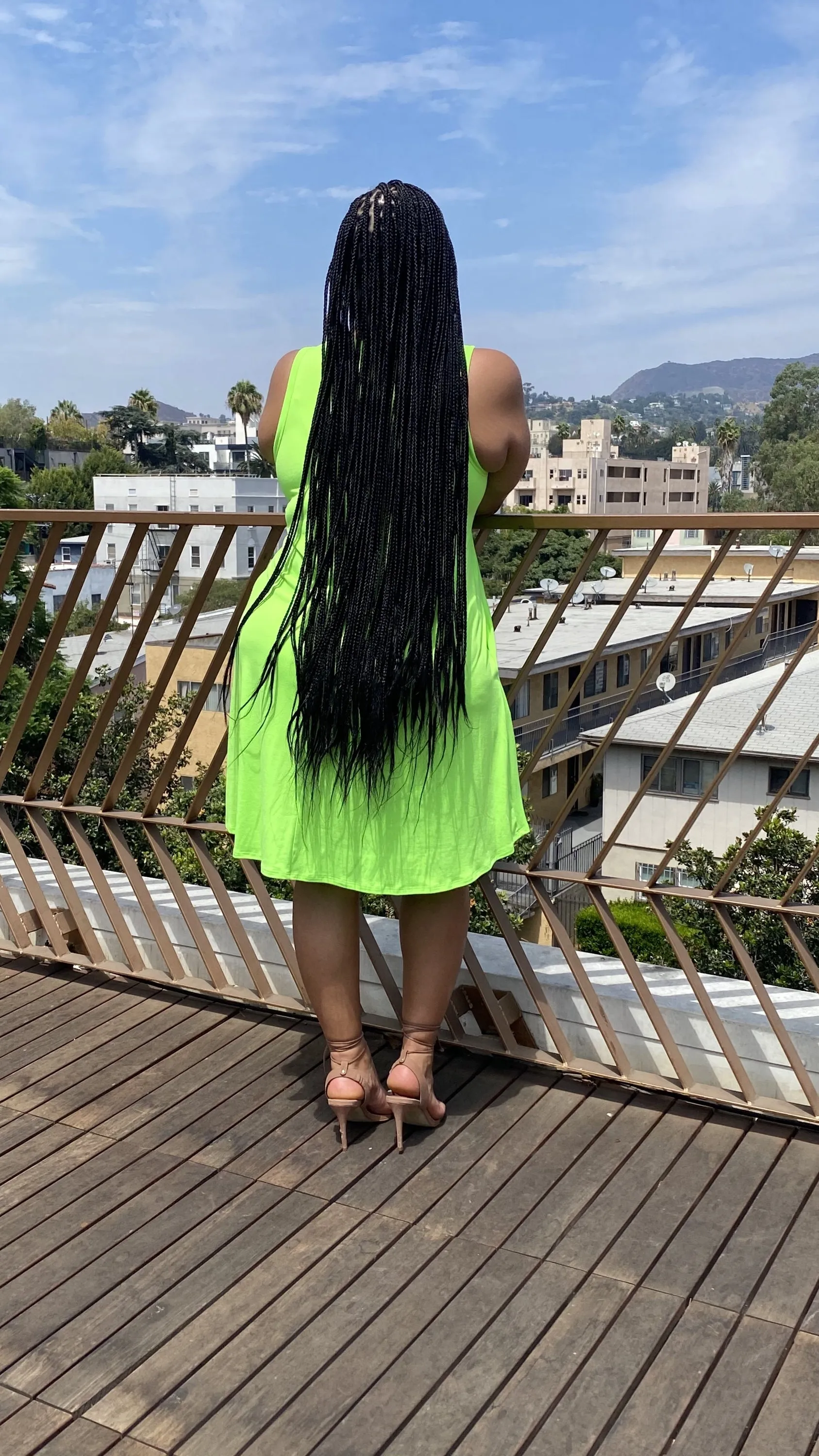 Alicia Swing Dress