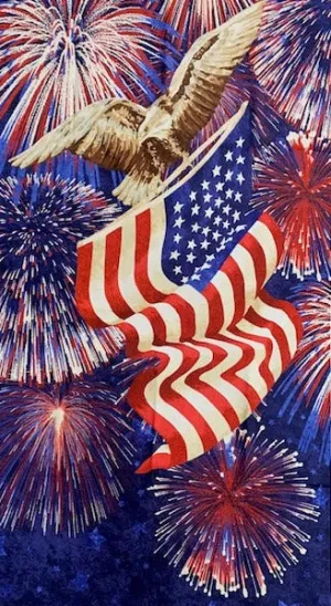 America the Beautiful Panel - 8 LEFT!
