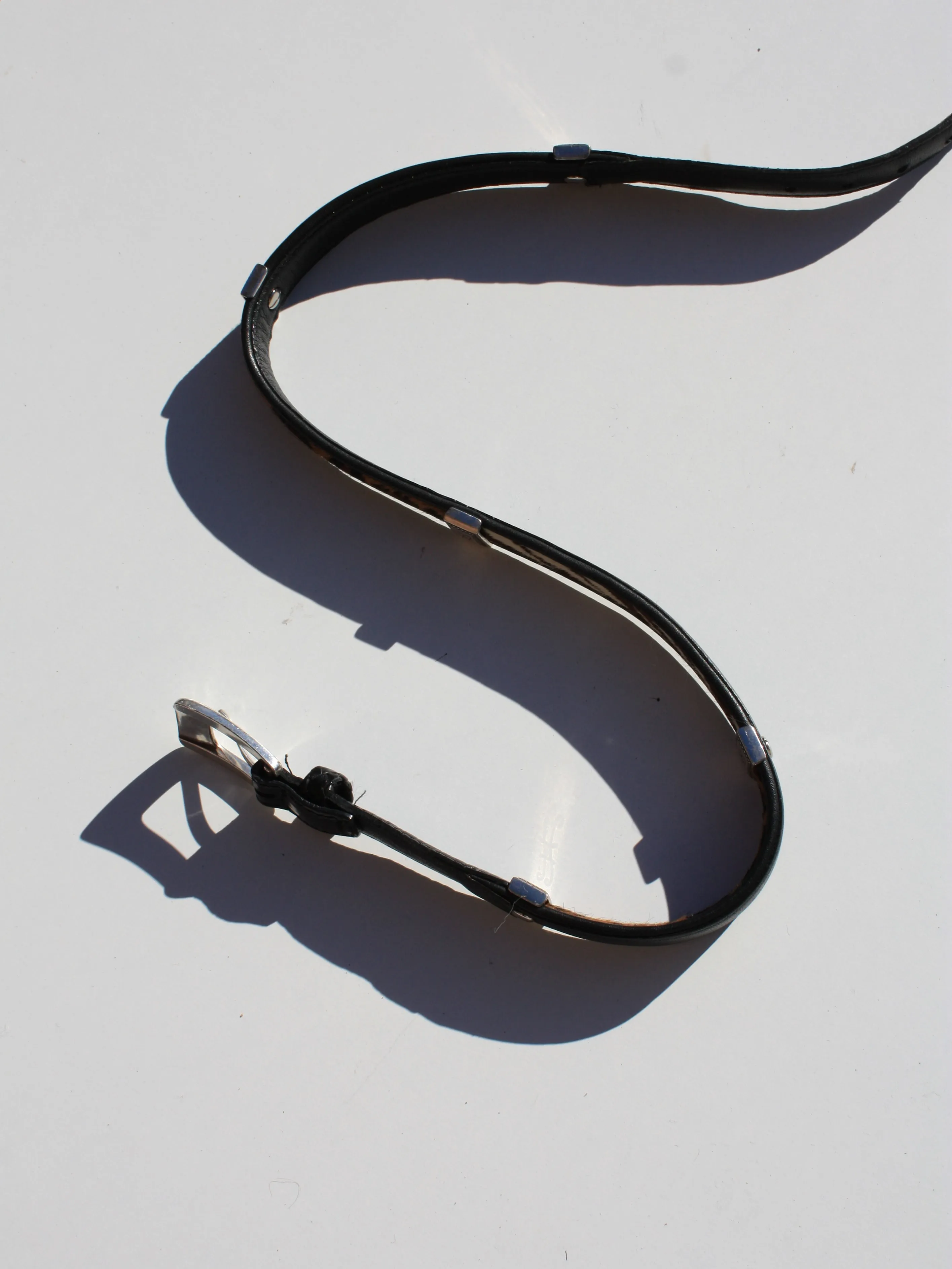 Animal Print Paneled Belt