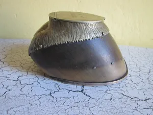 Antique Horse Hoof Match Holder and Striker by Roland Ward & Co Limited
