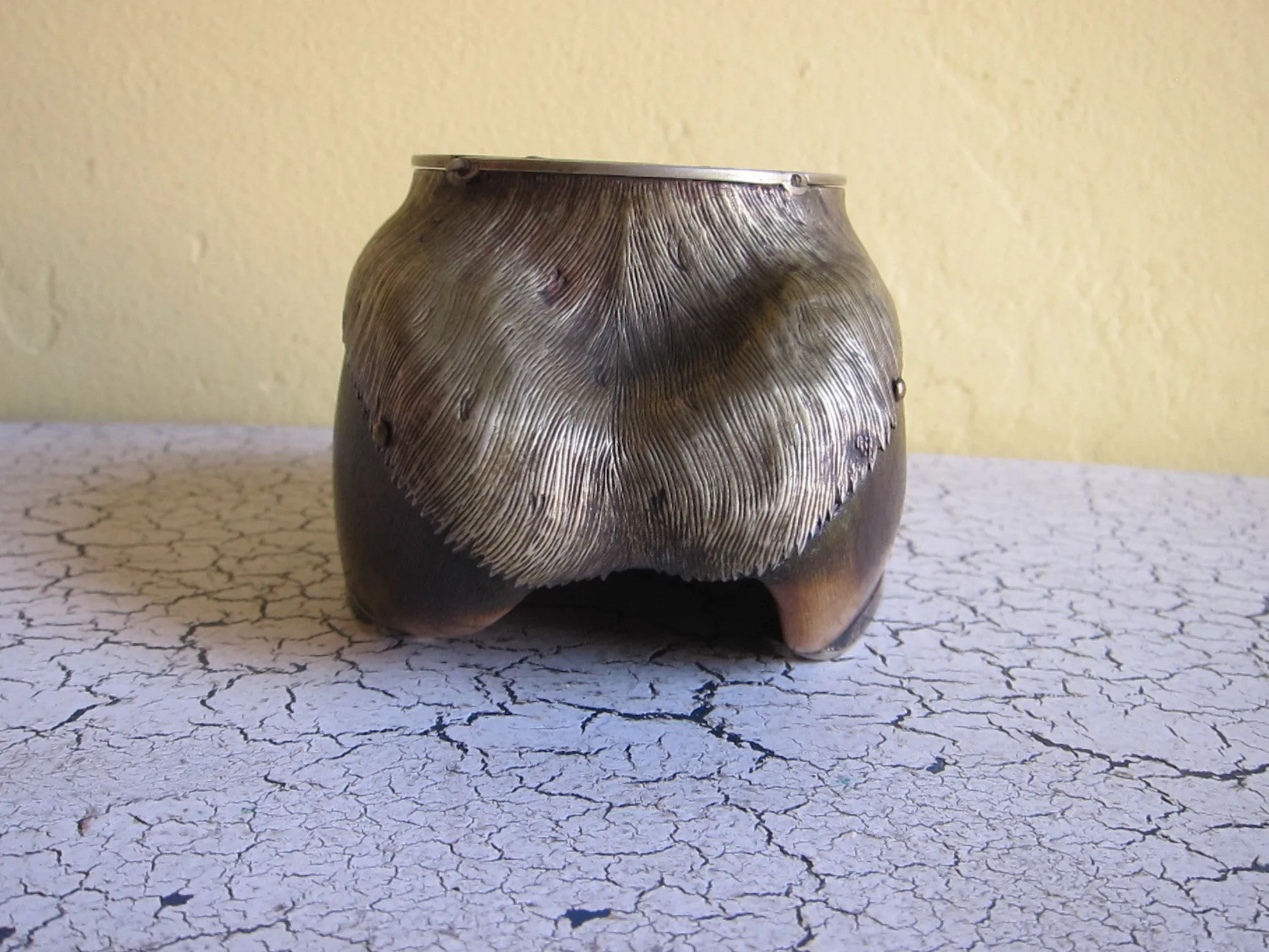 Antique Horse Hoof Match Holder and Striker by Roland Ward & Co Limited