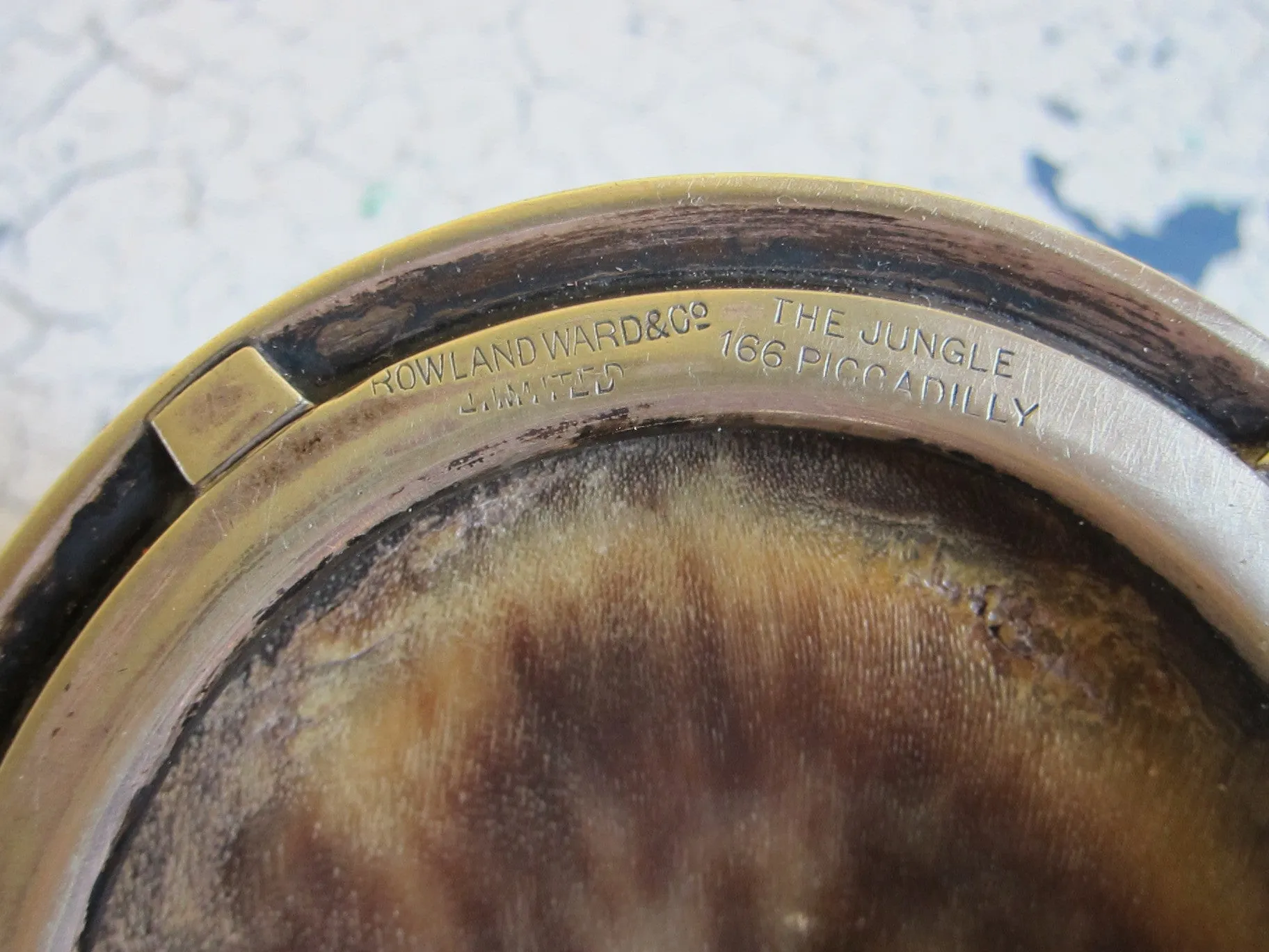 Antique Horse Hoof Match Holder and Striker by Roland Ward & Co Limited