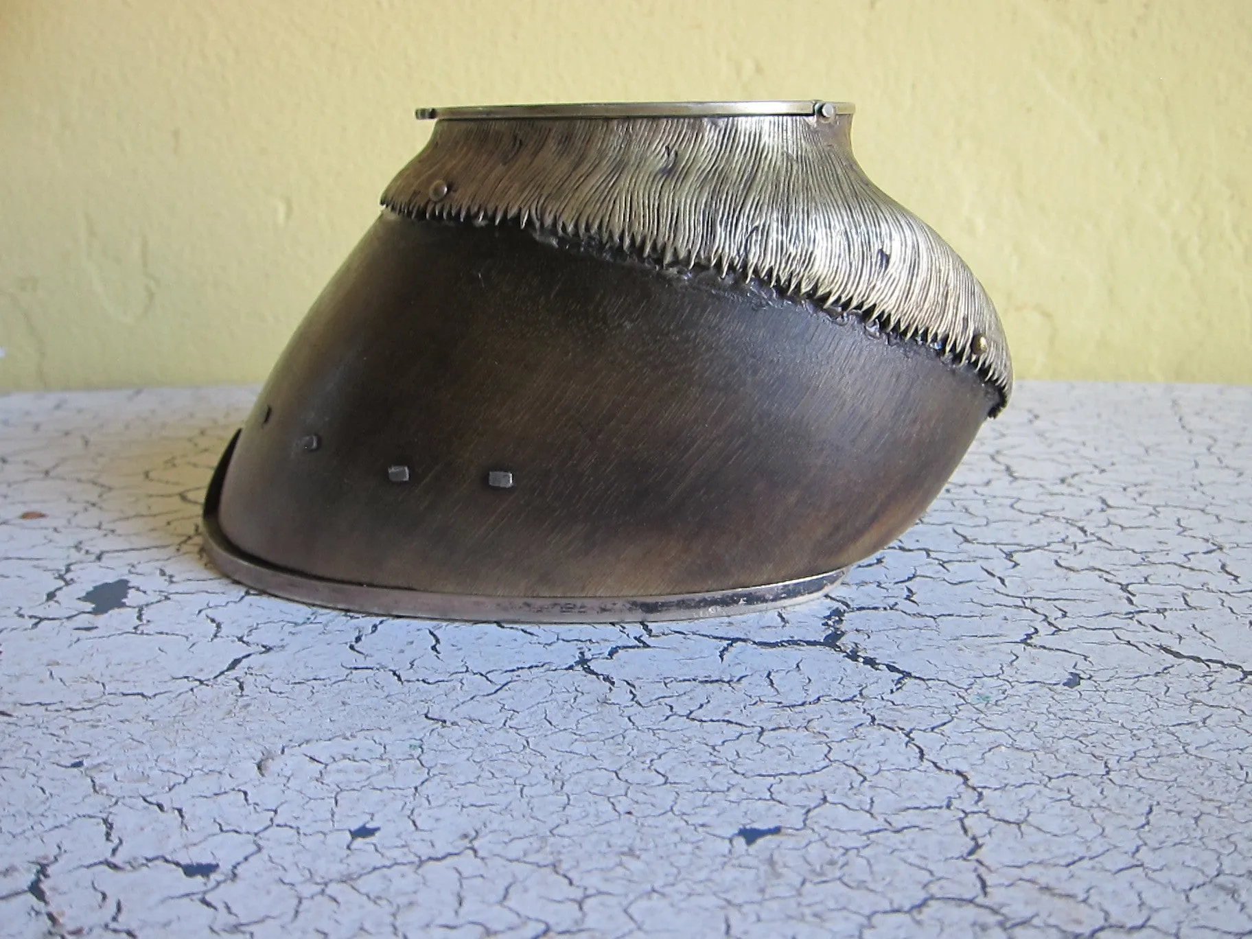 Antique Horse Hoof Match Holder and Striker by Roland Ward & Co Limited