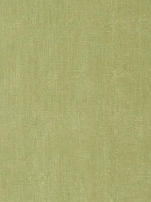 Artisan - Lettuce