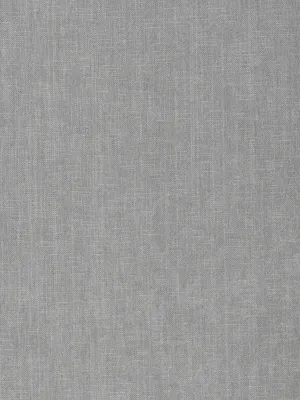 Artisan - Shark