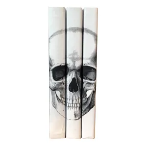 Black Skull Decorative Books