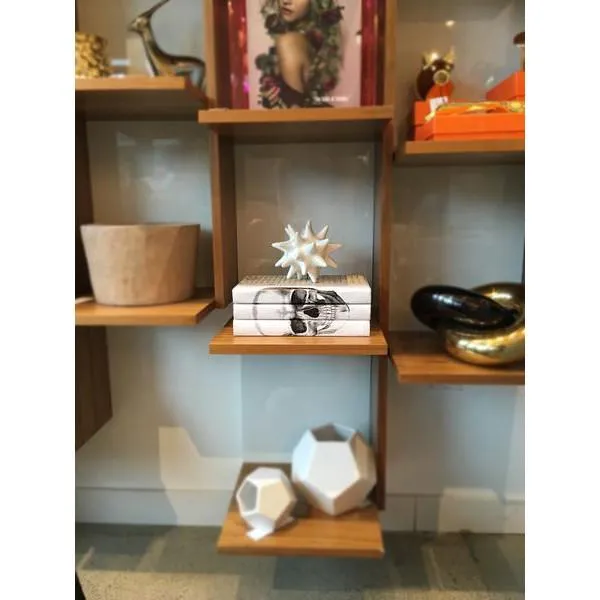 Black Skull Decorative Books