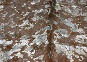Butterfly Print on Tricolor COWHIDE - 84x74 INCHES - Premium Cowhide