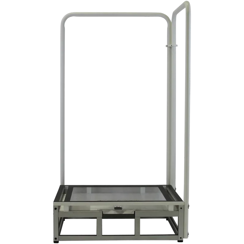 Clear Single Step Footstool