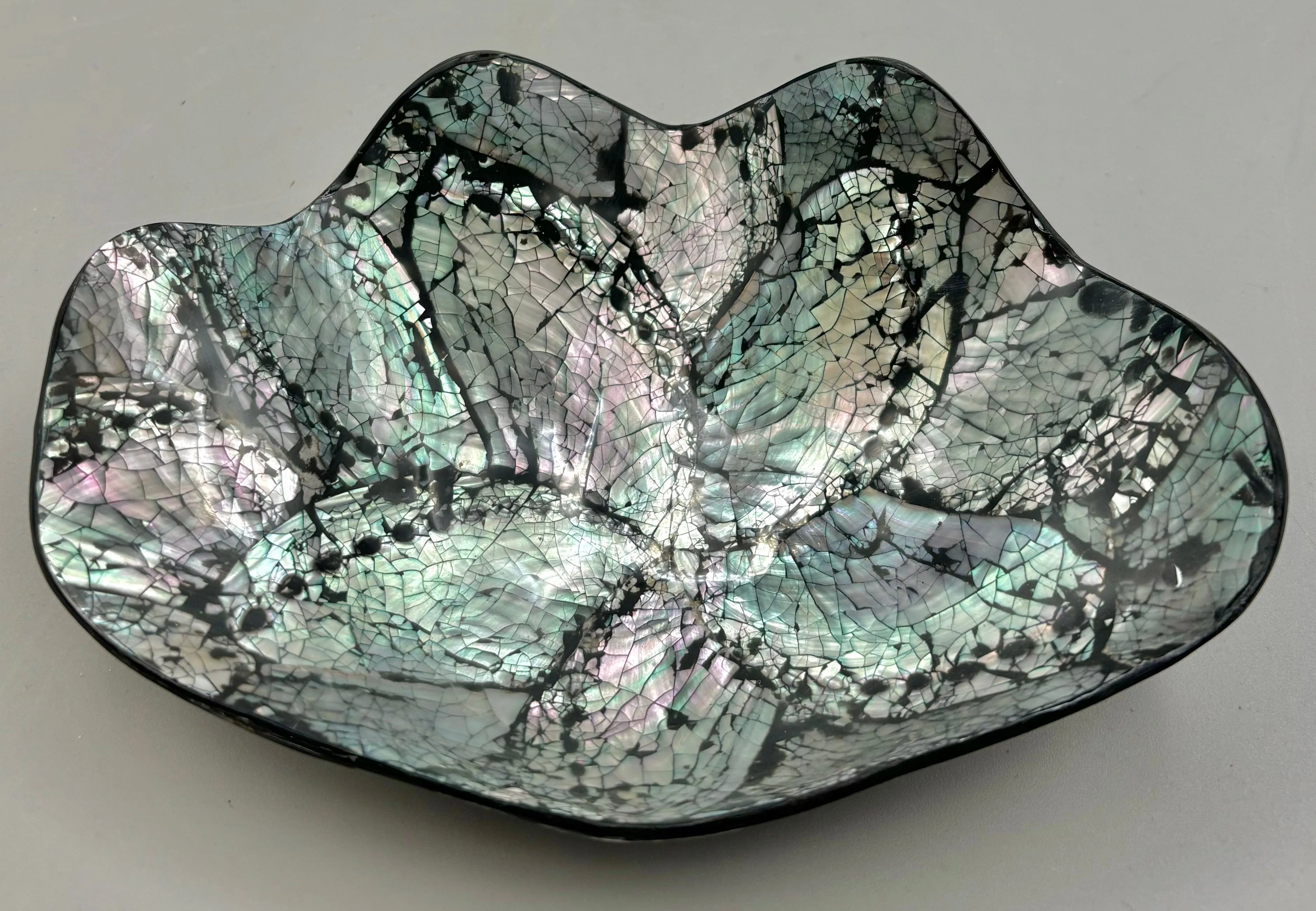 Decorative Abalone Shell Dish