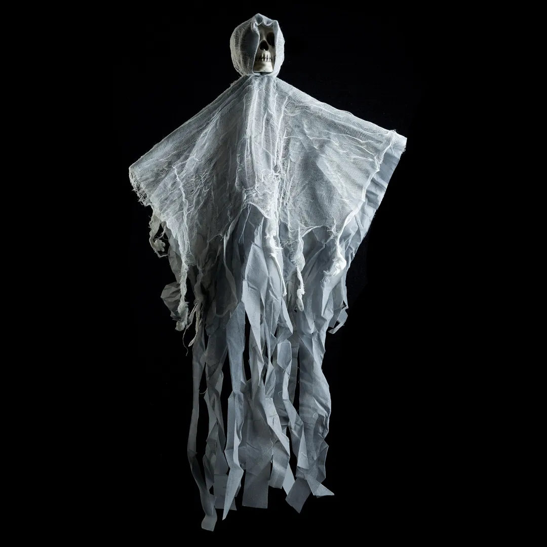 Decorative Hanging Skeletons