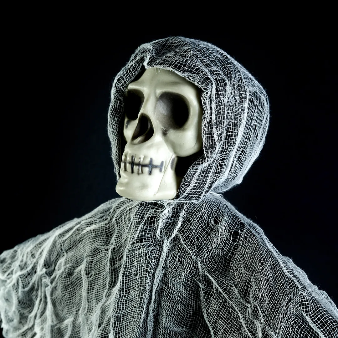 Decorative Hanging Skeletons