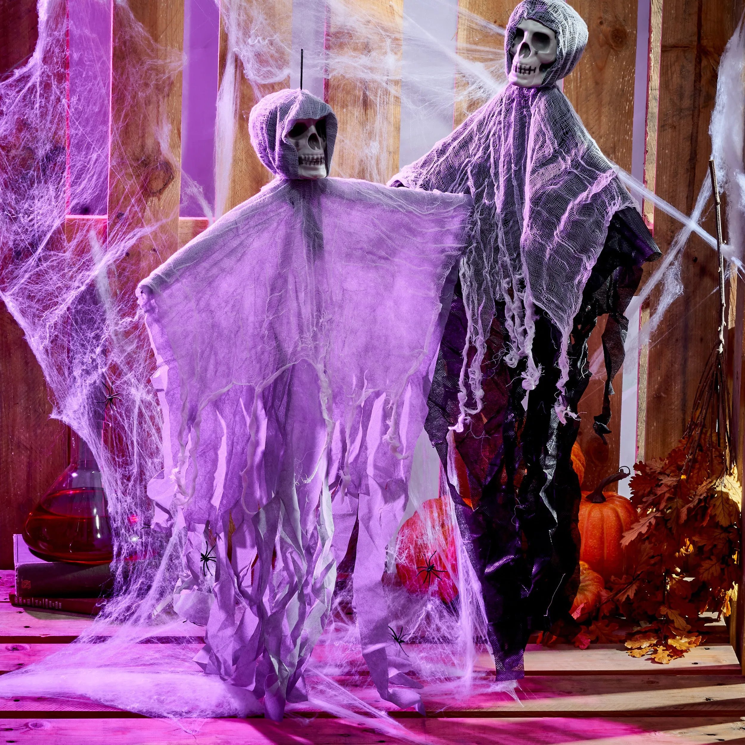 Decorative Hanging Skeletons