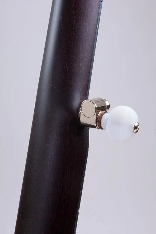 Deering Artisan Goodtime Special Openback 5-String Banjo