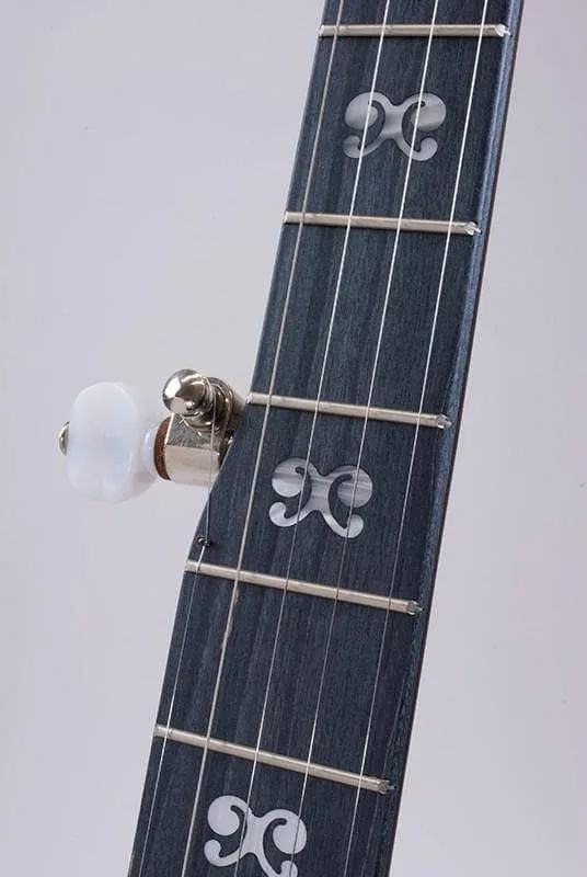 Deering Artisan Goodtime Special Openback 5-String Banjo