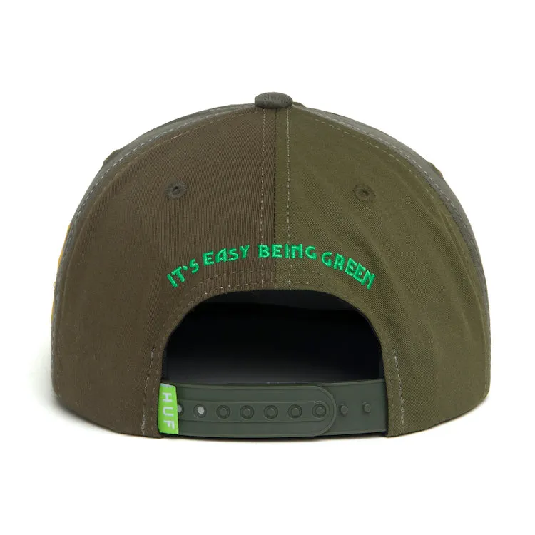 Easy Green Contrast 6 Panel