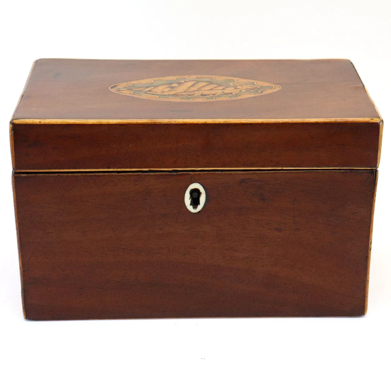 English George III Mahogany Satinwood Inlaid Conch Shell Tea Caddy Box