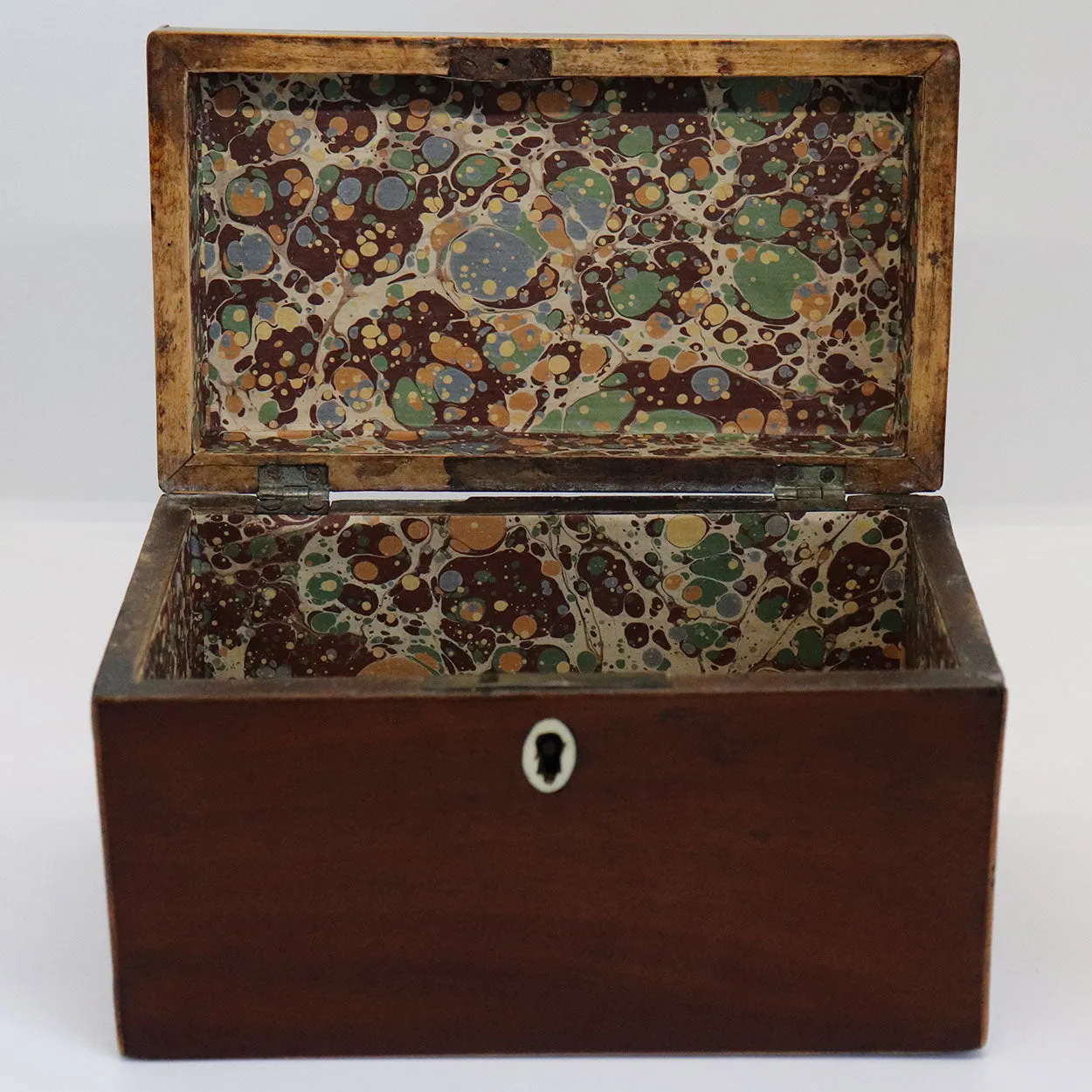English George III Mahogany Satinwood Inlaid Conch Shell Tea Caddy Box