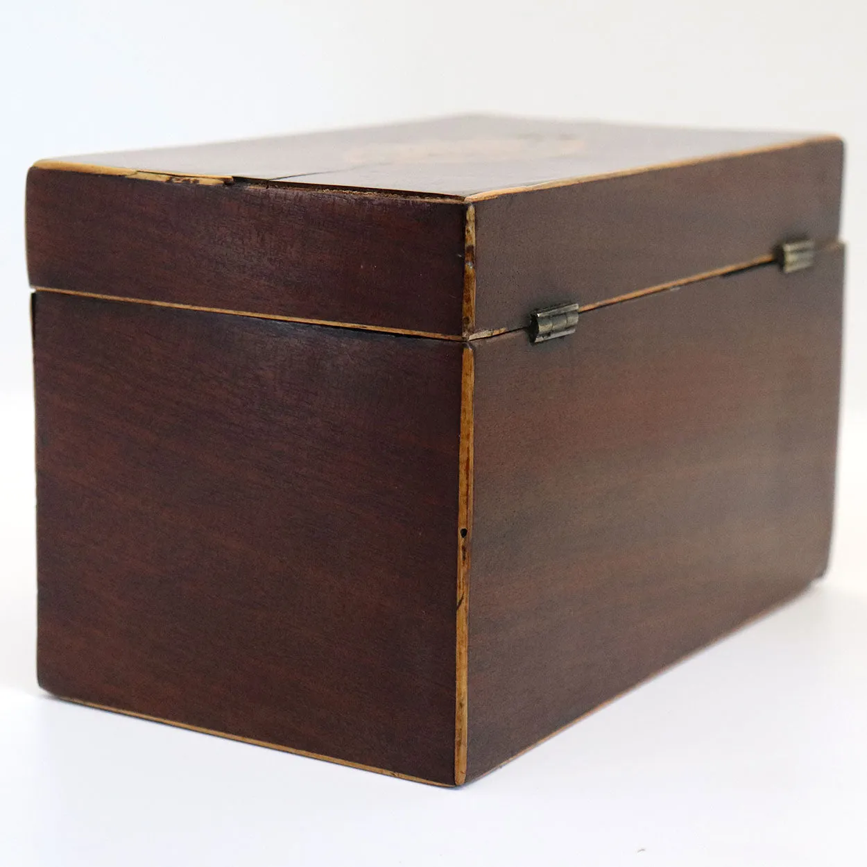 English George III Mahogany Satinwood Inlaid Conch Shell Tea Caddy Box