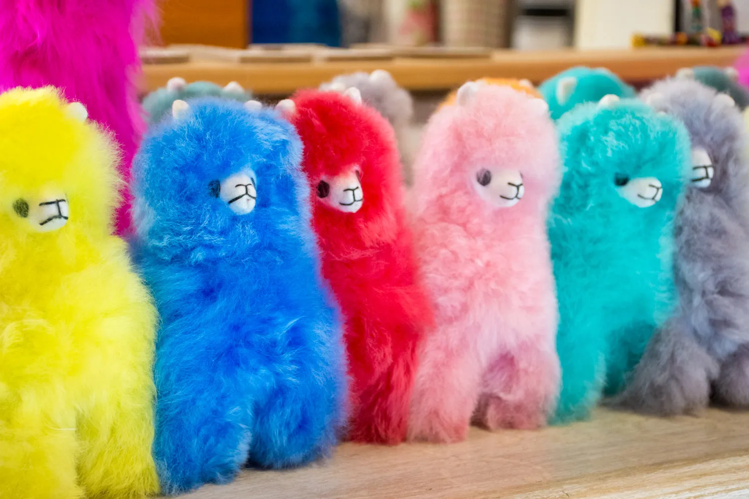 Estrella Mini Alpaca