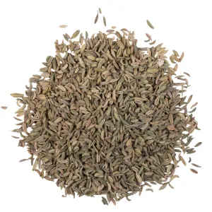 Fennel Seed