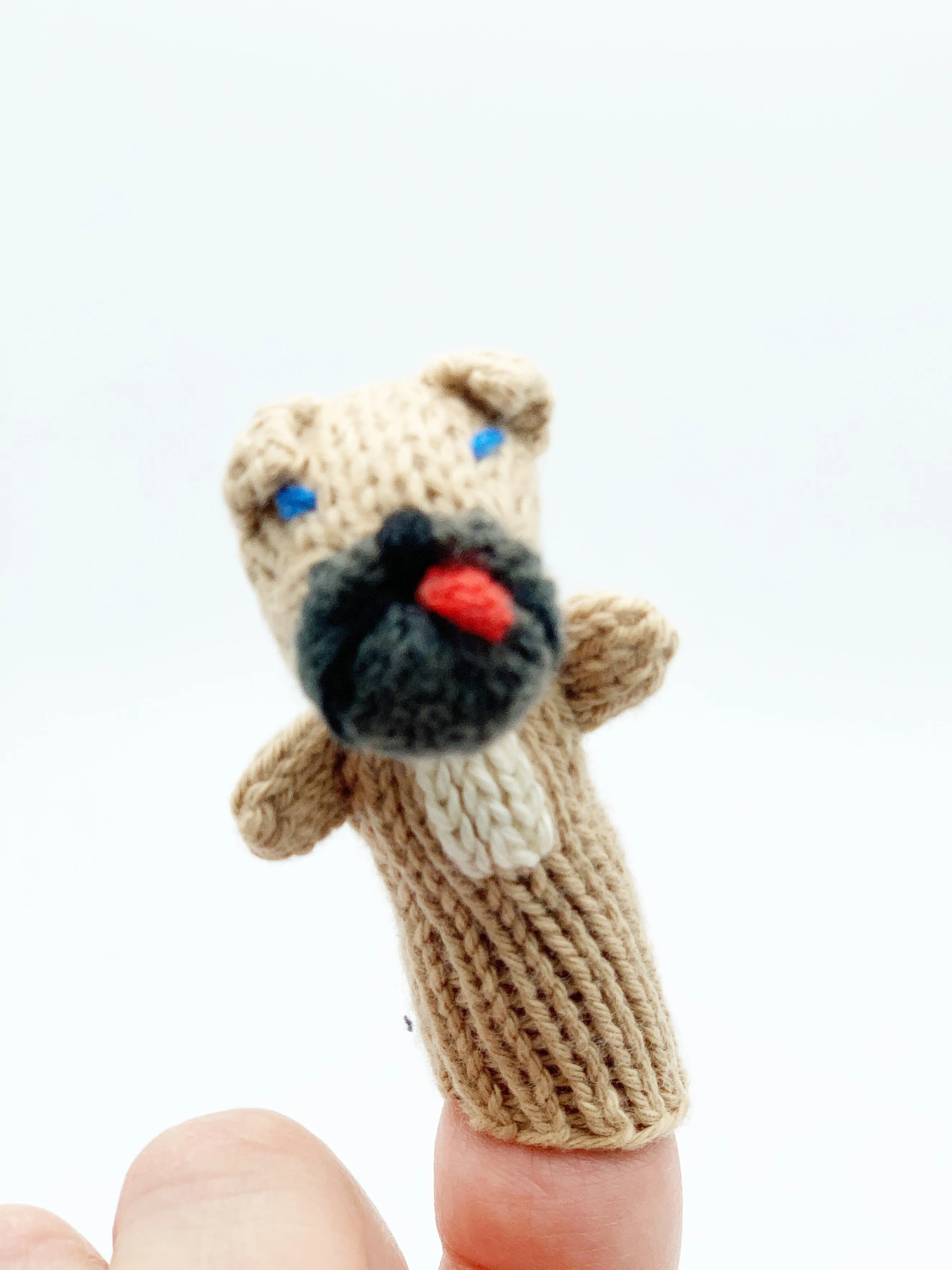 Finger puppets of animals and creatures found at home