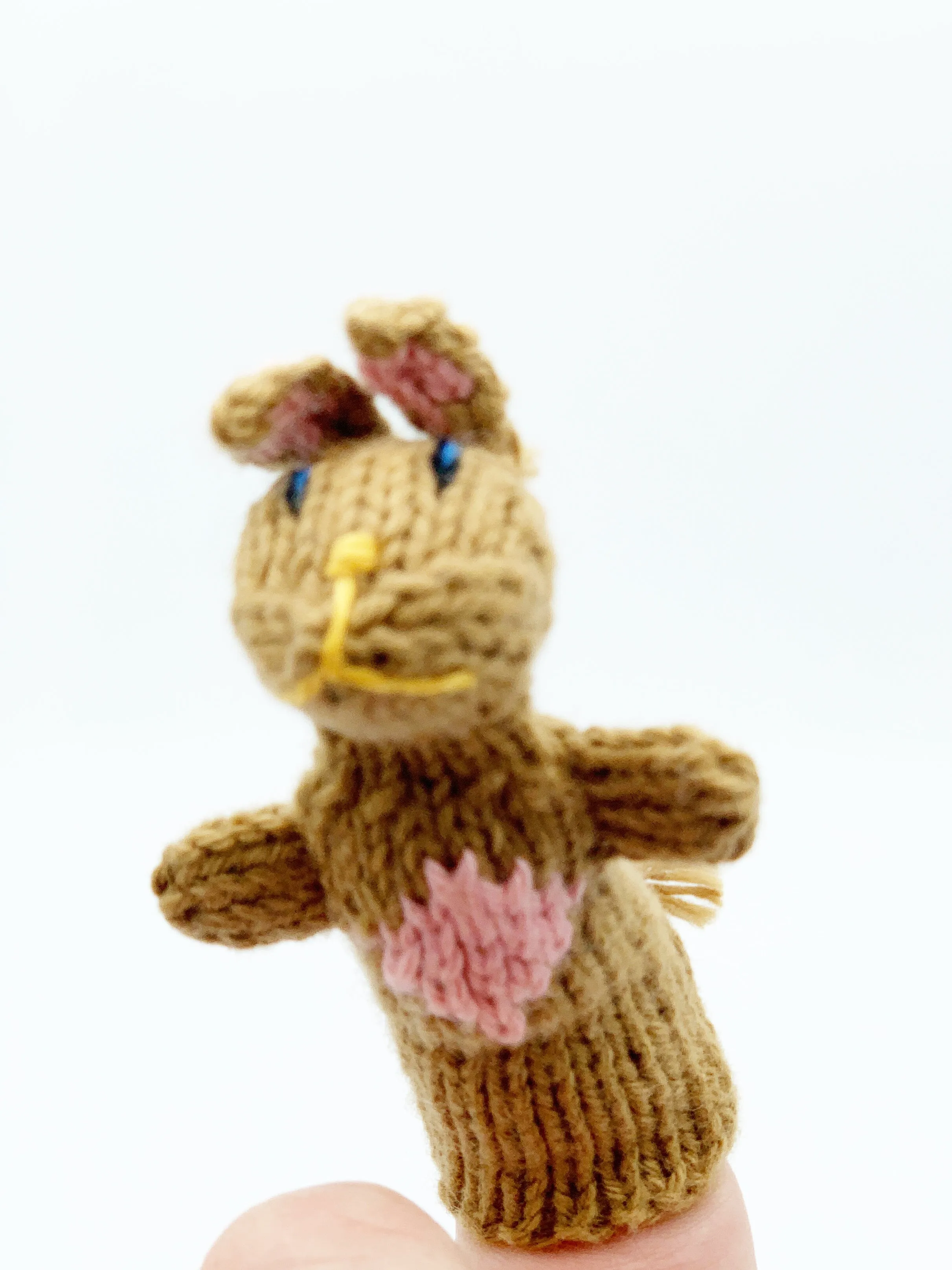 Finger puppets of animals and creatures found at home