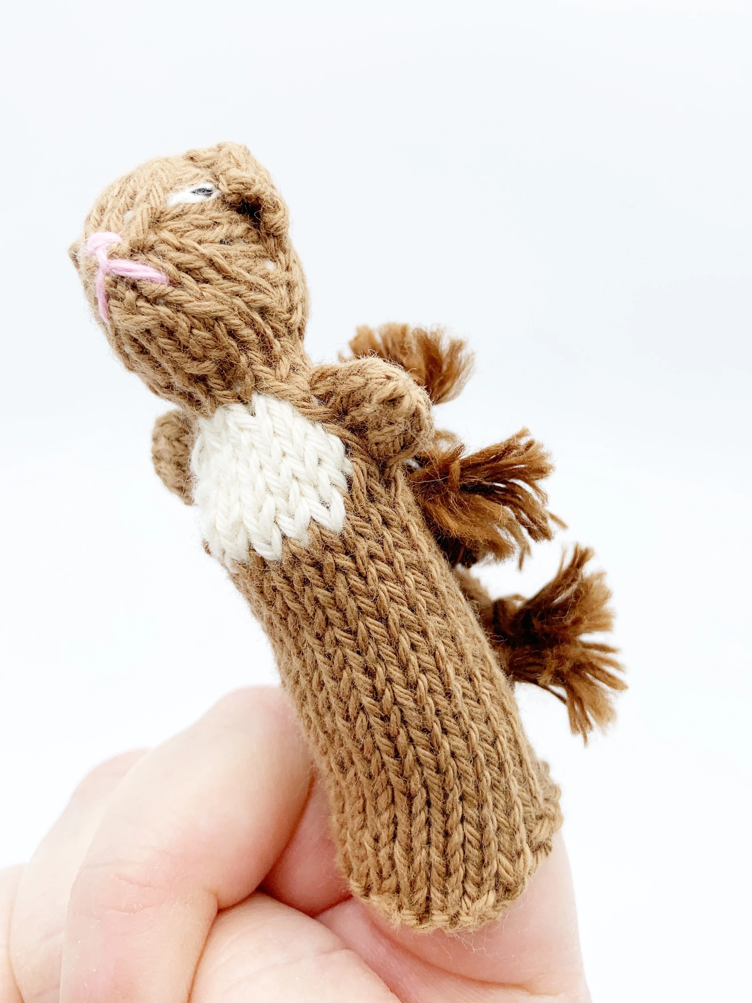 Finger puppets of animals and creatures found in the wild