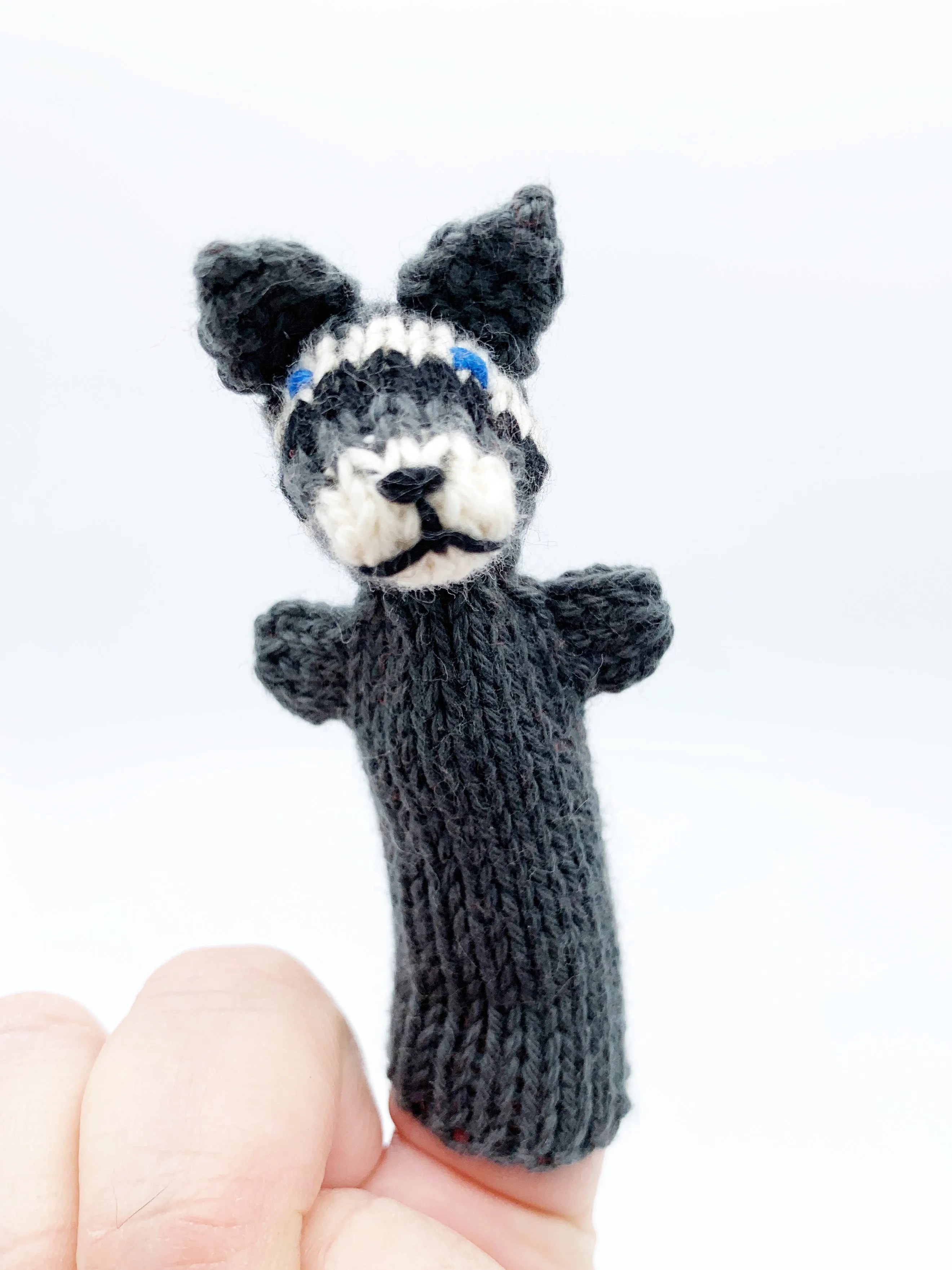 Finger puppets of animals and creatures found in the wild