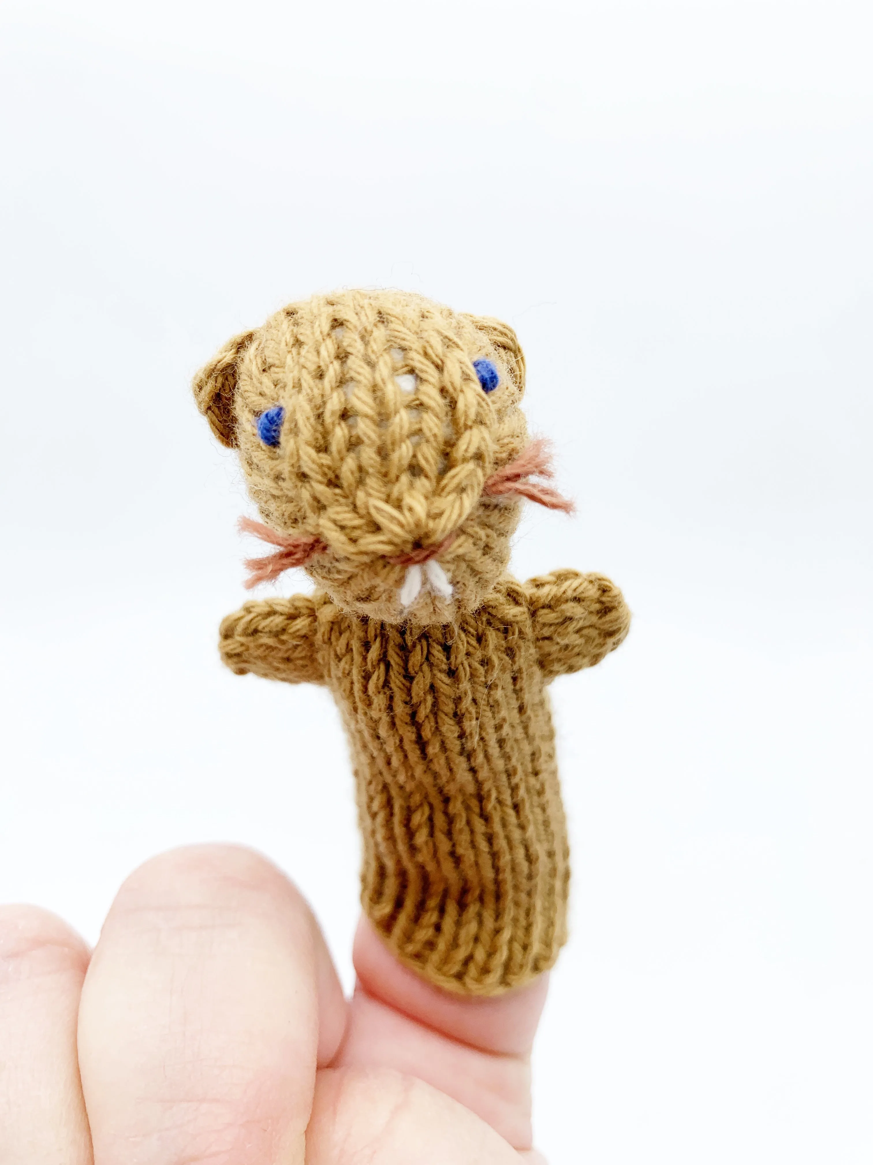Finger puppets of animals and creatures found in the wild