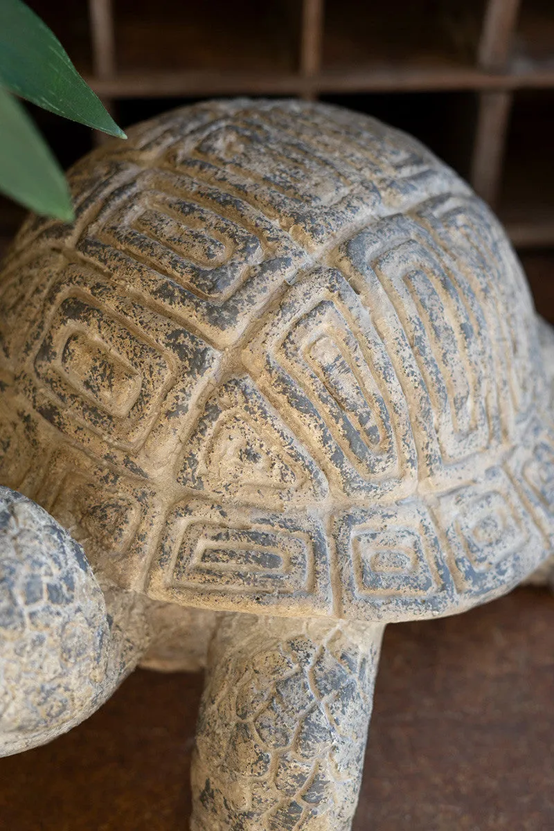 Garden Tortuga