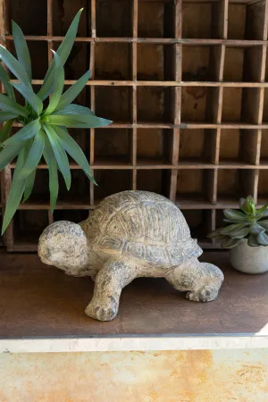 Garden Tortuga