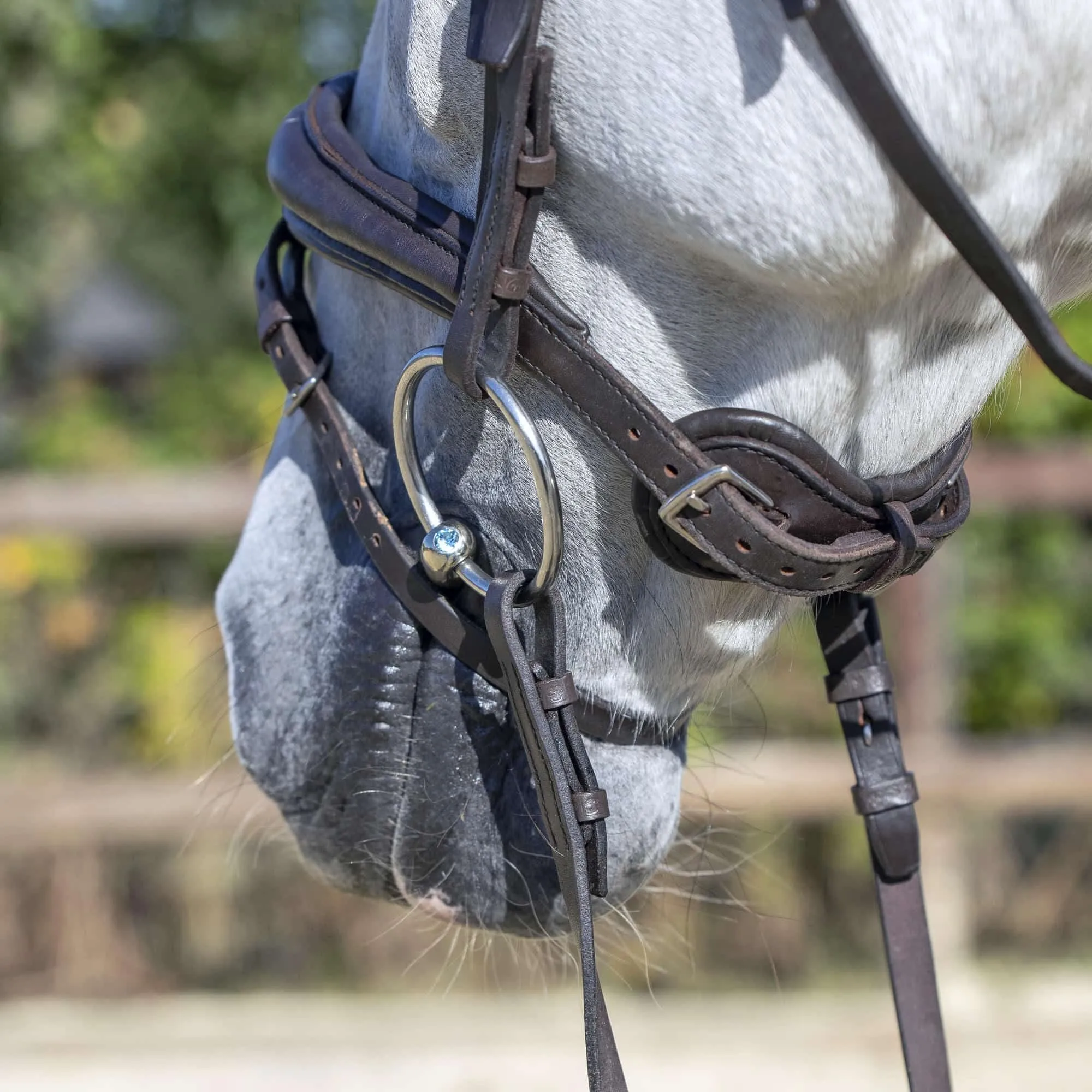 HS Dynamic RS Snaffle Sensogan Swarovski Bit
