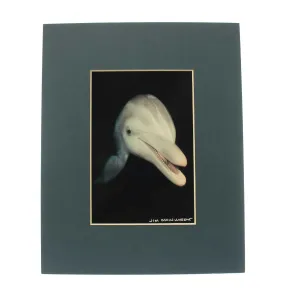 Jim Wainwright Smiling Dolphin Print