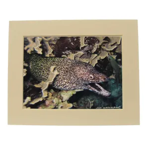 Jim Wainwright Spotted Morey Print