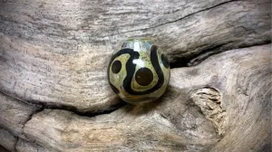 Lampwork Glass Bead by Tamara Melcher