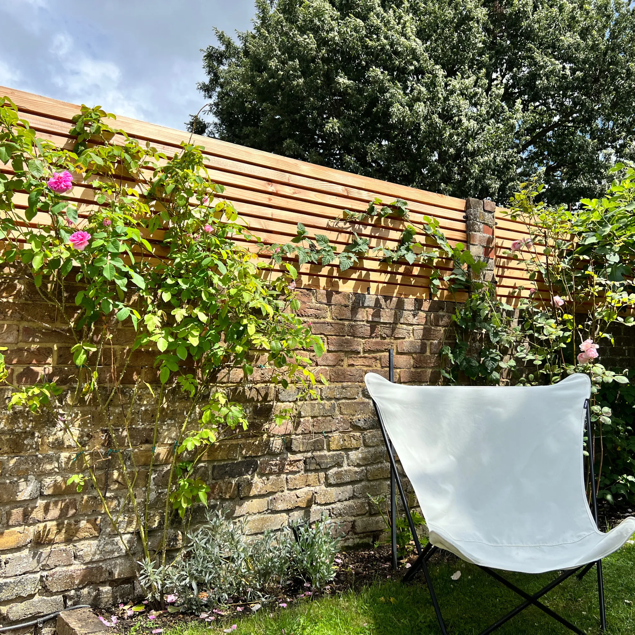 Larch Slatted Fence Panels (Horizontal)