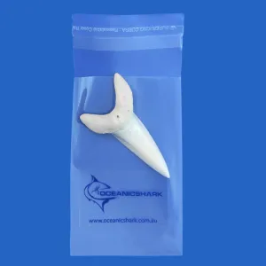 Large Mako Shark Tooth LTM4