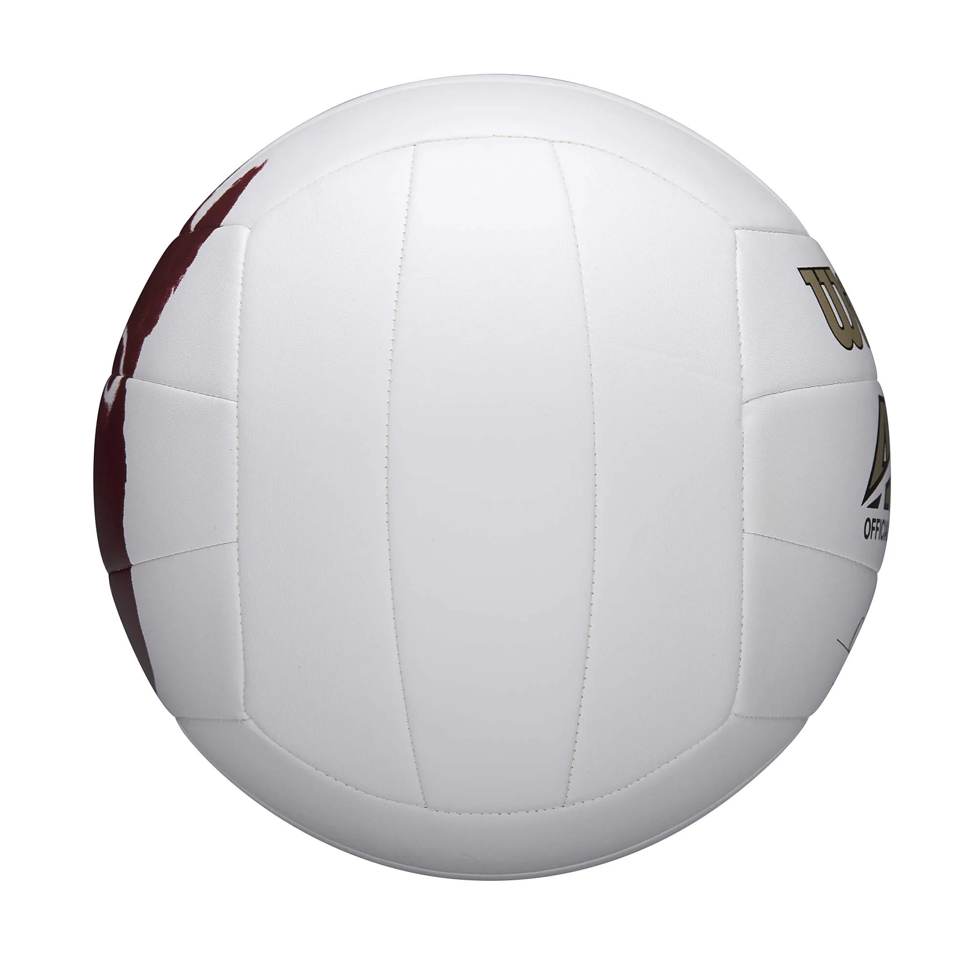 Lopta na plážový volejbal Wilson Mr. Wilson Castaway Volleyball