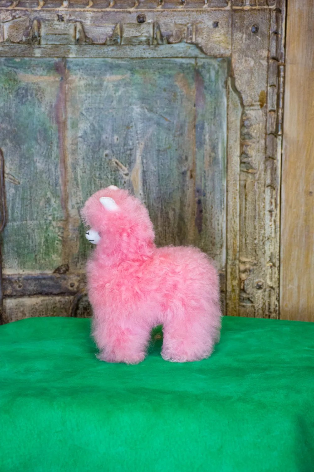 Luna Mini Alpaca