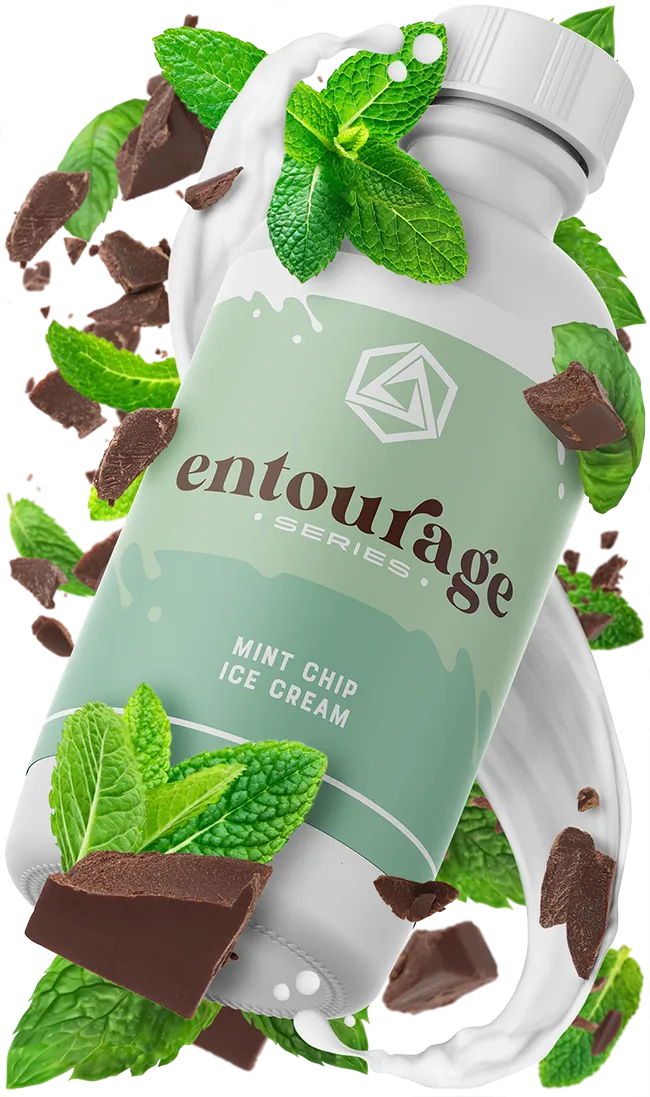 Mint Chip Ice Cream