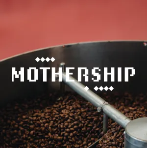Mothership Blend Subscription - 3 months - Monthly Delivery