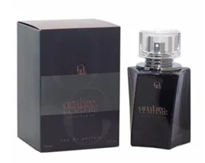 OMBRE LUMIERE POUR HOMME by Lumiere EDP 3.4 OZ SP Men