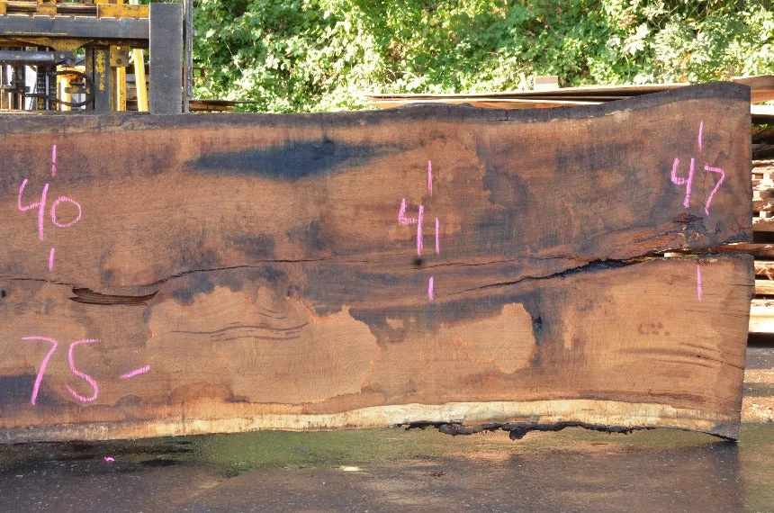 Oregon White Oak Slab 083022-02