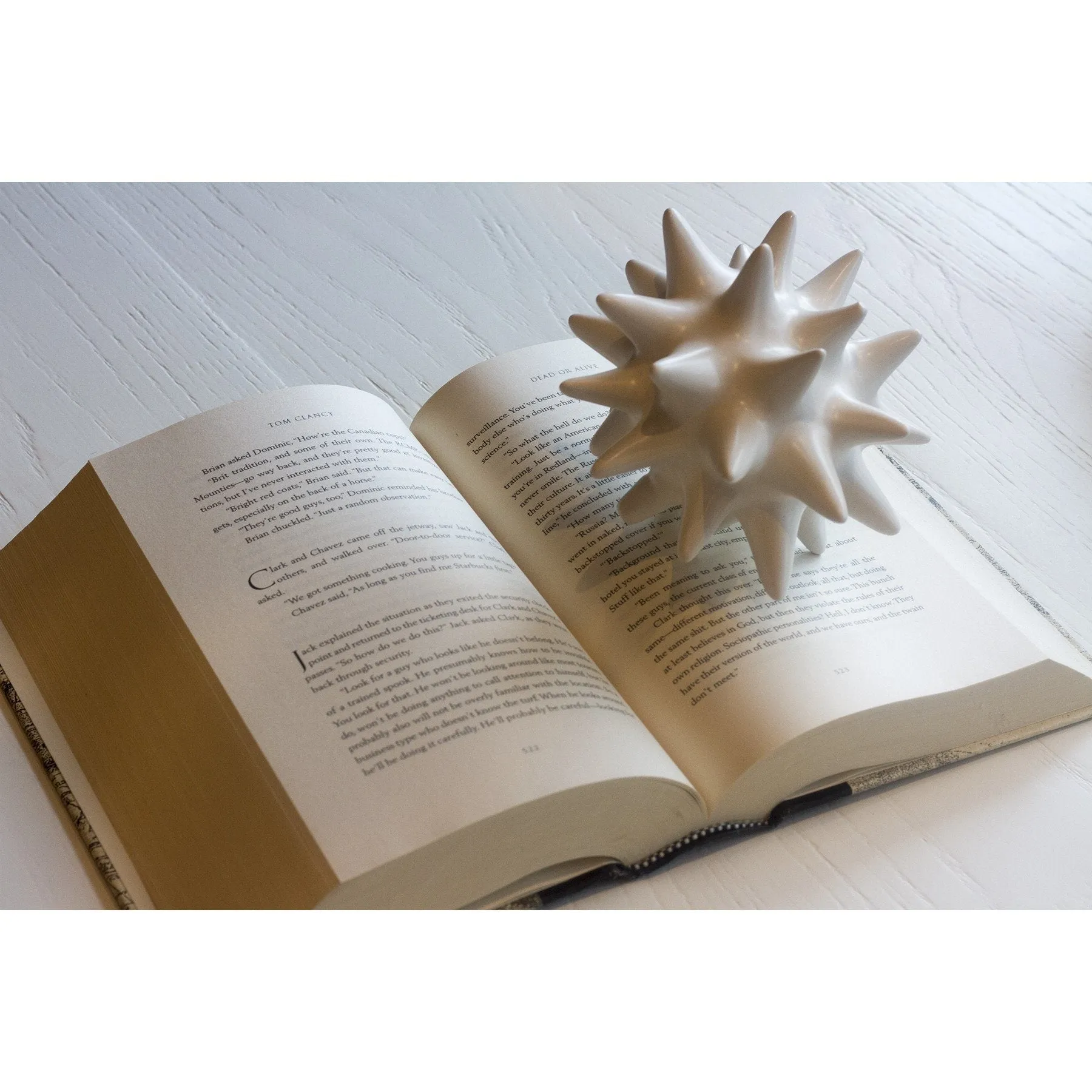 Paris Decorative Book