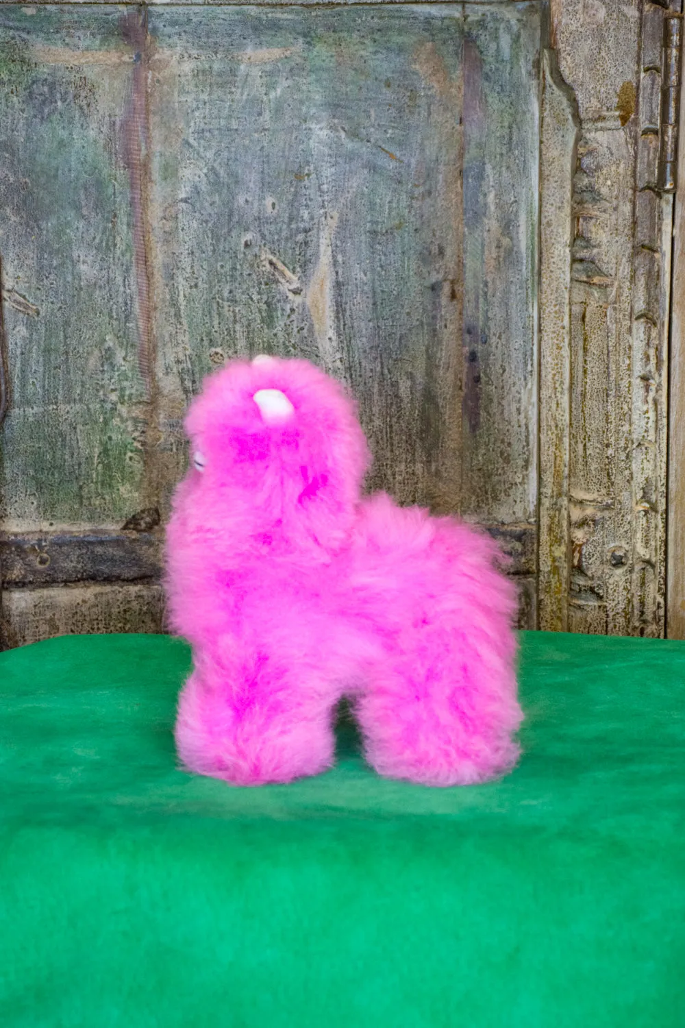 Penelope Mini Alpaca