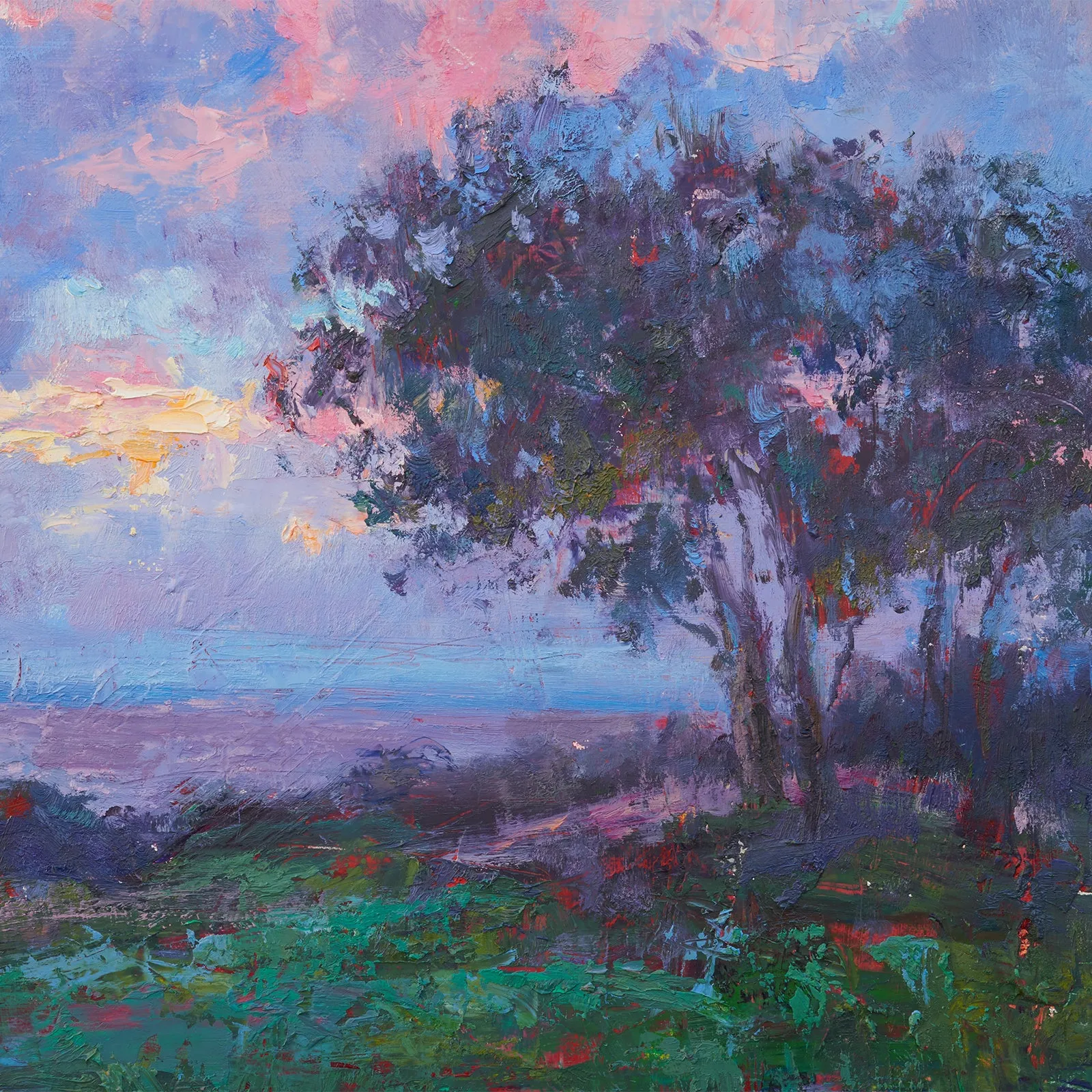 Pink Sunset Before the Rain