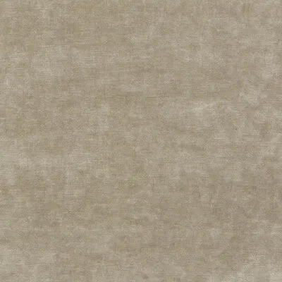 Queen'S Velvet-Parchment