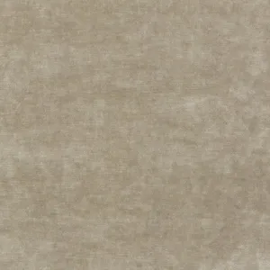 Queen'S Velvet-Parchment