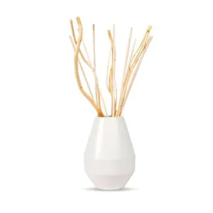 REEDS DECORATIVE SET AURA